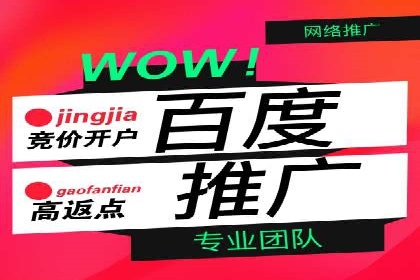 某企业通过百度广告实现品牌提升的历程